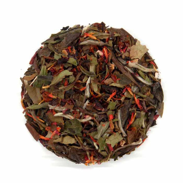 Tea - Kombucha Blend B (6 XL teabags) - Karma Cultures