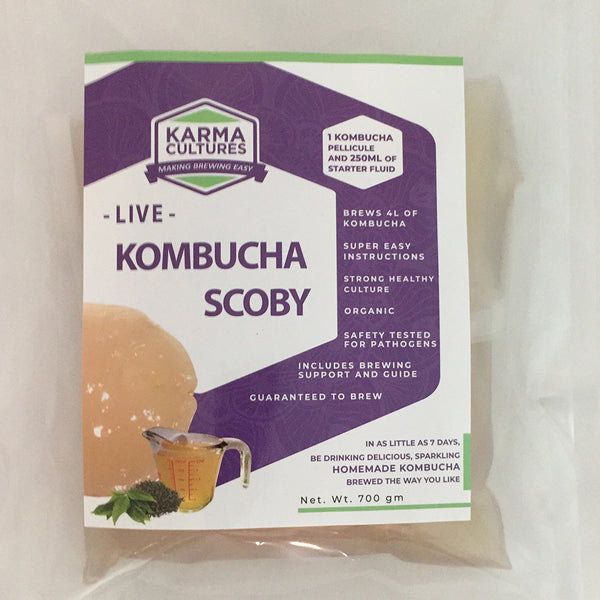 Kombucha SCOBY Culture, Organic Certified - Karma Cultures